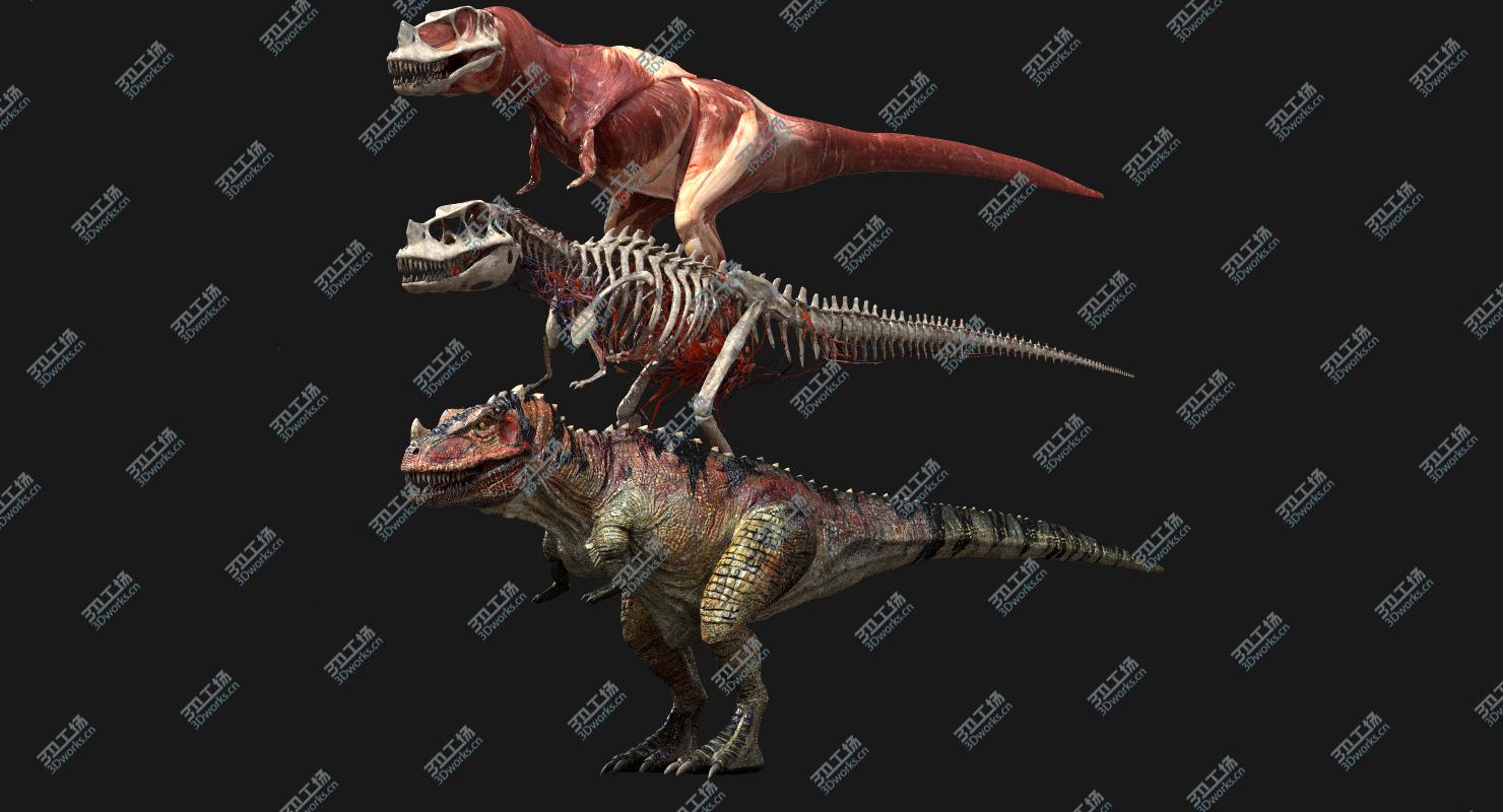images/goods_img/202104093/Ceratosaurus Anatomy 3D model/2.jpg